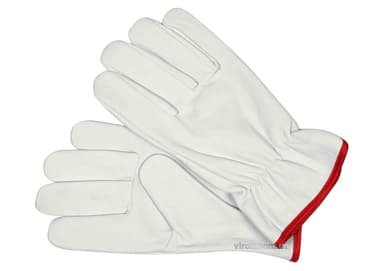 Рукавиці робочі білі з червоною крайкою YATO : бавовна + шкіра, розмір 10 [12/120]