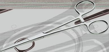 Затискач монтажний NWS l= 160 мм, прямі губки з зубцями на поверхні захопу, нержавіючі